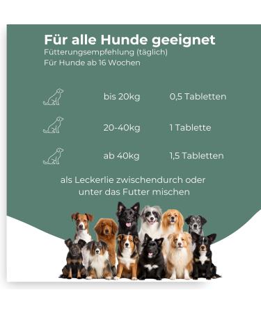 Buy Journey Tablets for Dogs - Green Lipped Mussel MSM Glucosamine & Devil Claw | 100 Pieces Made in Germany 6-Month Supply - Buy Online on GoSupps.com
