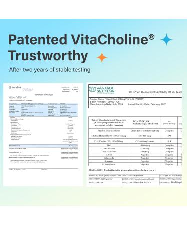 Novafun Choline Supplements 500mg, Brain Health & Cognitive Function Support, Vegan, Non-GMO, Gluten-Free, 60 Capsules (60-Day Supply) - Buy Online on GoSupps.com
