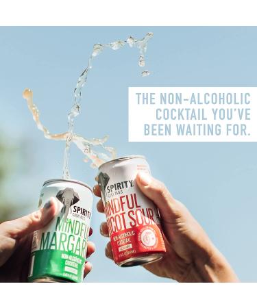 Mindful Margarita - Non-Alcoholic Tea Cocktail - 4-Pack | SPIRITY COCKTAILS - Buy Online on GoSupps.com