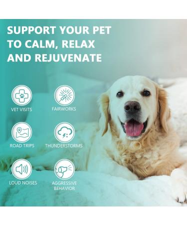 Max Potency Hemp Oil for Dogs and Cats with Omega 3-6-9 Fatty Acids - Supports Hip, Joint, and Skin Health - Organic, Non-GMO, Made in USA 1-Pack - Buy Online on GoSupps.com