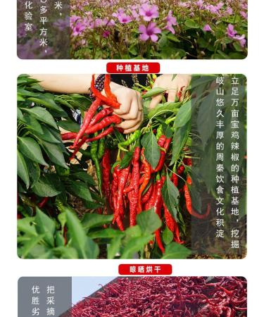 Red oil Chili Sauce Instant sauce Sesame Red Oil Spicy Sauce (65g*5/10/20 cans) dipping sauce Chili pepper mixed noodles sauce Chilli & Hot Pepper Sauce Miso delicious snack gifts (10 cans) - Buy Online on GoSupps.com