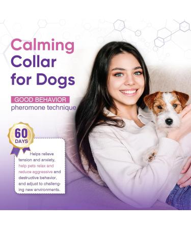 Calming Collar for Cats & Dogs - Adjustable Waterproof Pheromone Sedative for Anxiety Relief (1 Pack) - Buy Online on GoSupps.com