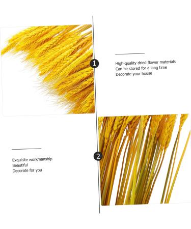 100pcs Dried Wheat Ears Bouquet Dried Flowers Decor Wedding Wheat Ear Floral Arrangement Wheat Ear Wheat Stalk Flowers Wheat Ear Dry Flowers Home Wheat Ear Real Flower Natural Yellow 52X10CM - Buy Online on GoSupps.com