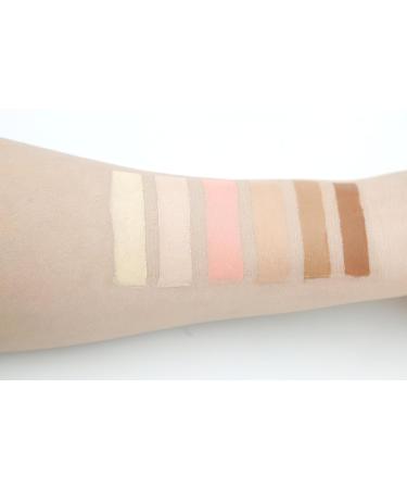 6 Color Contour & Highlight Makeup Kit - Medium Cream Contouring Foundation & Concealer Palette (0.02 oz - Buy Online on GoSupps.com