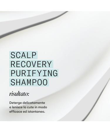 Nioxin Scalp Recovery Purifying Shampoo 200ml shampoo purificante antiforfora - Buy Online on GoSupps.com