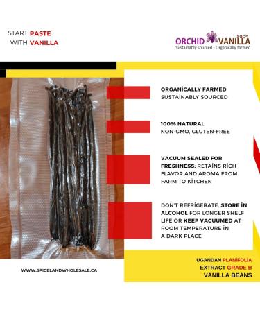 Ugandan Extract Grade-B Vanilla Beans For Extract Making By Count (5 Beans (Pack of 1)) - Buy Online on GoSupps.com