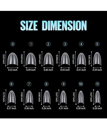 Tomicca 504 Pieces Clear Acrylic Half Cover French Fake Nail Tips - Short Almond Nail Tips Set for DIY Nail Studios 12 Sizes for Nail Extensions - Buy Online on GoSupps.com