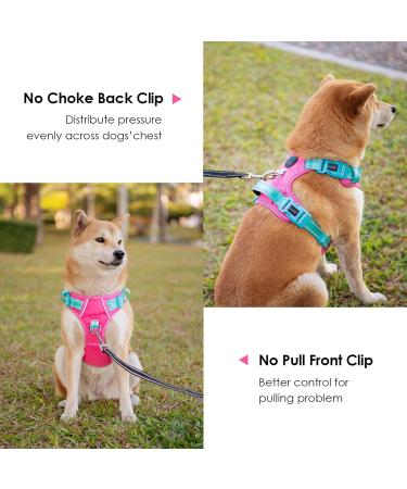 Phoepet No Pull Dog Harness - Reflective Vest with Soft Training Handle for All Sizes (Pink & Green) - Buy Online on GoSupps.com
