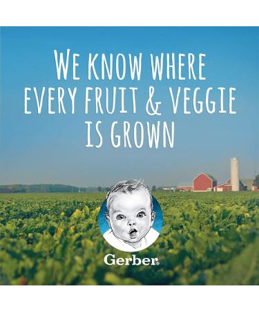 Gerber Pumpkin 2nd Foods - 2 Pack (4 oz Each) | Healthy Baby Food - Buy Online on GoSupps.com