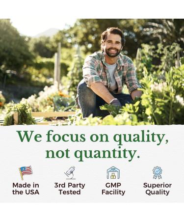 Vitalitown Magnesium + Moringa Bundle (Pack of 2) | Magnesium Complex (Item 1) & Moringa (Item 2) | 120 Magnesium Capsules & 90 Moringa Capsules - Buy Online on GoSupps.com