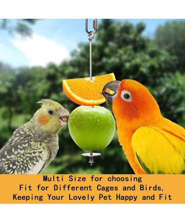 2PCS Premium Stainless Steel Bird Food Holder & Skewer Set - Ideal for Parrots, Fruit, Vegetables - Bird Feeder and Foraging Toy - Buy Online on GoSupps.com