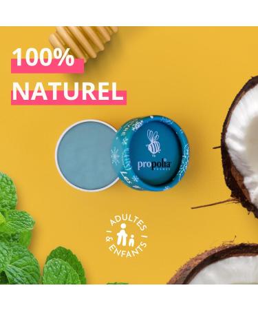 PROPOLIA - Mint Lip Balm - Fresh effect - Repairs and nourishes dry and damaged lips - Honey Beeswax and Shea - 100% natural - Made in France - 6 g jar - Buy Online on GoSupps.com