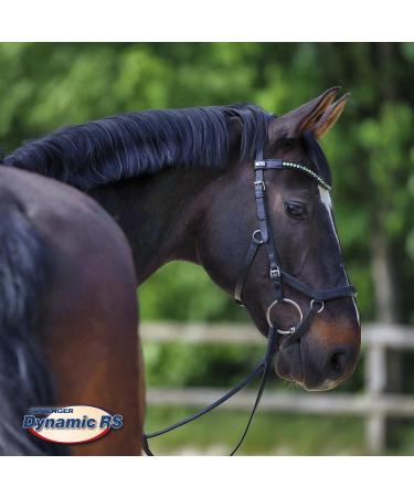 Sprenger Dynamic RS Bridle 14mm SENSOGAN Silver - Premium International Shipping Available - Buy Online on GoSupps.com