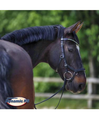 Buy Sprenger Dynamic RS Bridle 14mm SENSOGAN Silver 13.5 - Premium International Shipping Available - Buy Online on GoSupps.com