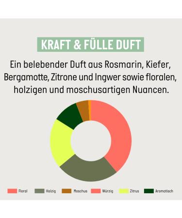  Guhl Guhl Strength & Pleine Shampoo - Significantly strengthened hair from the roots - Capacity: 250 ml - With active complex with rosemary and biotin - Buy Online on GoSupps.com