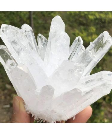 Natural Transparent White Quartz Crystal Cluster Specimen Reiki Stone kaixun (Size : 400-450g) - Buy Online on GoSupps.com