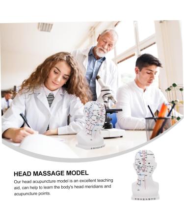 Minkissy Realistic Acupuncture Point Model - Hospital & Laboratory Supplies for Head Massage | 22x12x8cm PVC Scalp Pin Model - Buy Online on GoSupps.com