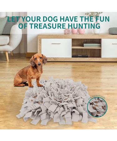 Sniffing Carpet Training Mat for Dogs & Cats - Ieuumler 45x45cm Gray-2 | Ideal for Smell Training & Interactive Play - Buy Online on GoSupps.com