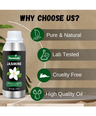 Jasmine Essential Oil 16 Ounces by Puranicals | 100% Pure & Natural | Undiluted Premium Quality | Therapeutic Grade Aromatherapy Oil - Buy Online on GoSupps.com