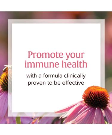 Natural Factors Echinamide 60 Softgels - Immune Support Supplement - Buy Online on GoSupps.com