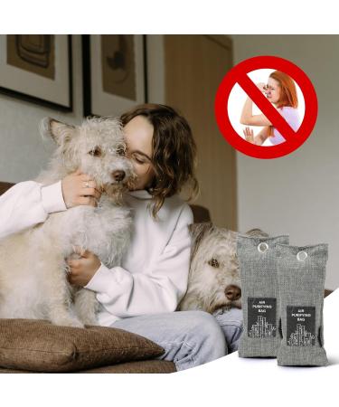 Charcoal Shoe Deodorizer Bamboo Charcoal Air Purifying Bags Bamboo Activated Charcoal Air Freshener Fresh Air Purifier Bags for Car Closet Bathroom Basement 2 Pack 1 count (Pack of 2) - Buy Online on GoSupps.com
