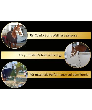 Equilyx Sweat Ceiling Horse - Perfect Fit Fleeced Stable & Transport Ceiling | Warming Moisture Absorbing Breathable (Royal Blue 155) - Buy Online on GoSupps.com