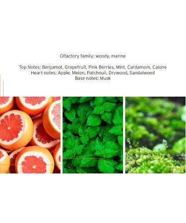 HEAD Attitude Mens Fragrance Cologne Eau De Toilette EDT 100 milliliters / 3.4 ounces Fresh Mint Sandalwood 3.4 Fl Oz (Pack of 1) - Buy Online on GoSupps.com