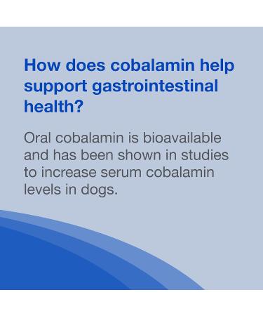 Nutramax Cobalequin B12 Supplement for Medium to Large Dogs - 45 Chewable Tablets with Hydrolyzed Chicken | Premium Dog Vitamins International Shipping Available - Buy Online on GoSupps.com