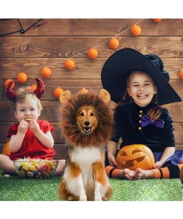 Adjustable Lion Mane Costume for Dogs with Ears - Dark Brown - Buy Online on GoSupps.com