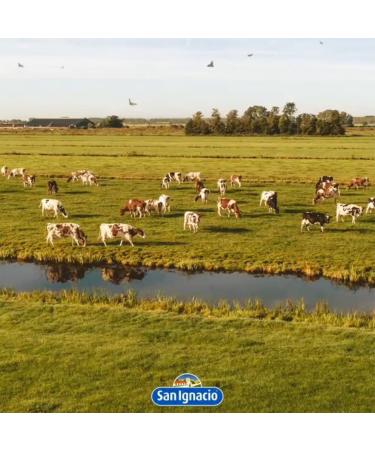 San Ignacio Dulce de Leche - 15.87 Oz - Pack of 2 | Rich & Creamy Caramel Spread - Buy Online on GoSupps.com