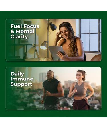 Organic Ashwagandha Root Extract Tablets - High Potency 30:1 - 200mg Ashwagandha Tablets Made With 10mg Organic Black Pepper for Enhanced Absorption - Vegan, Non-GMO, Gluten Free - 30 count - Buy Online on GoSupps.com