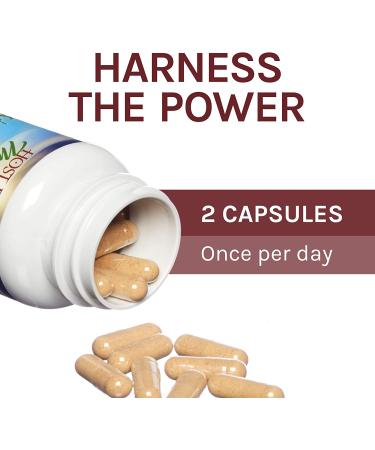 Fungi Perfecti Reishi Mushrooms - Longevity Support, 60 Veg Capsules - Buy Online on GoSupps.com