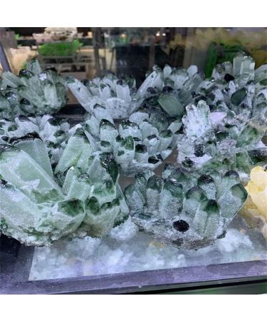 Natural Crystal Rough 300-800g Natural Green Ghost Phantom Quartz Crystal Cluster Rock Stones and Crystals Home Decor NaturalReiki Decoration (Size : 320-400g) - Buy Online on GoSupps.com
