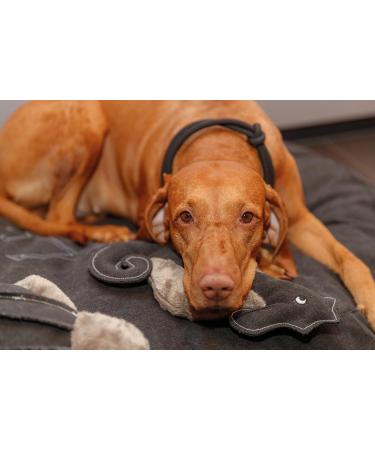 Buy Trixie Zug-Stop Hundehalband Be Nordic L-XL - Comfortable & Robust Dog Collar for Large Dogs - Elegant Design - 17295 Black/Sand - Buy Online on GoSupps.com