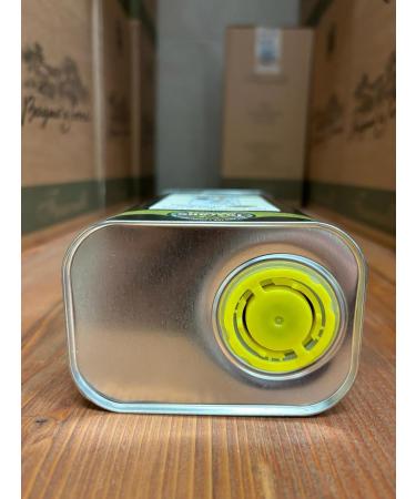 Oil Fanciulli-PGI Toscano-olive oil campaign 2023/2024-1L can - Buy Online on GoSupps.com