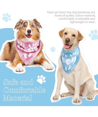Gender Reveal Dog Bandana Set for Medium Large Dogs | Team Girl Team Boy Baby Announcement Photo Prop - Buy Online on GoSupps.com