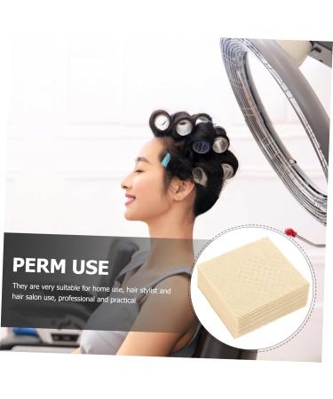 BIUDECO 1 Box Professional Hair Permanent Paper Heat Resistant Absorbent Lightweight Suitable for Home Hairdressers Trade Shows for Effortless Hair Treatment - Buy Online on GoSupps.com