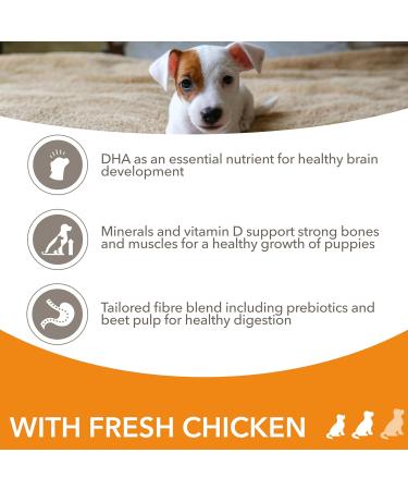 IAMS Complete Dry Dog Food for Puppy Small and Medium Breeds with Chicken 3 kg Small & medium breeds (&lt 25 kg) Chicken 3 kg (Pack of 1) - Buy Online on GoSupps.com