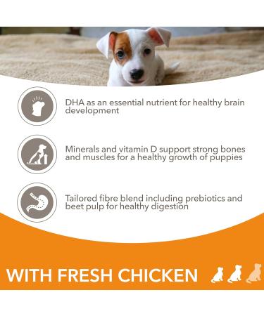 IAMS Puppy Small Medium Complete Dry Dog Food Chicken 3kg - For Healthy Growth 3 kg (Pack of 1) - Buy Online on GoSupps.com