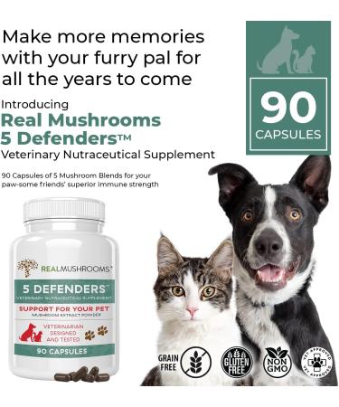 5 Defenders Mushroom Supplements for Cats & Dogs - Vet-Approved Health Support with Chaga, Shiitake, Reishi & Turkey Tail Mushrooms - 90ct Powder Capsules - Buy Online on GoSupps.com