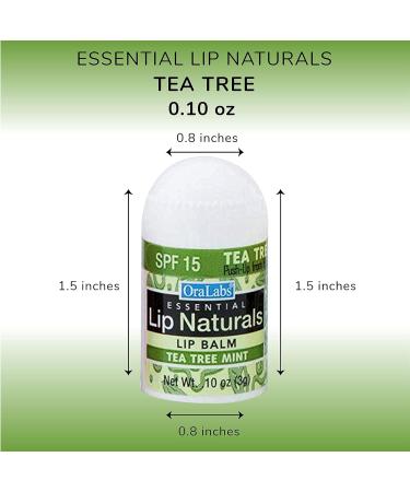 Lip Naturals | Assorted SPF-15 Mini Lip Balm - Includes Bing Cherry Tea Tree Mint and Vanilla Bean - Pack of 36 - Buy Online on GoSupps.com