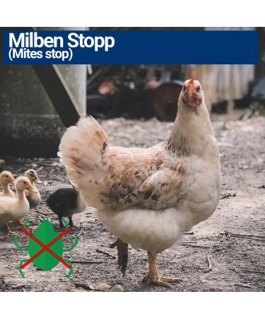 1000ml Mite Spray for Poultry | Chicken & Bird Parasite Control - Immediate & Long-Term Protection (3x 1000ml) - Buy Online on GoSupps.com