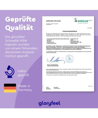 Buy 365 Vegan MSM Capsules - 1600mg Methylsulfonylmethane - 99% Pure MSM Powder - High-Dose No Additives - Laboratory Tested - International Shipping - Buy Online on GoSupps.com