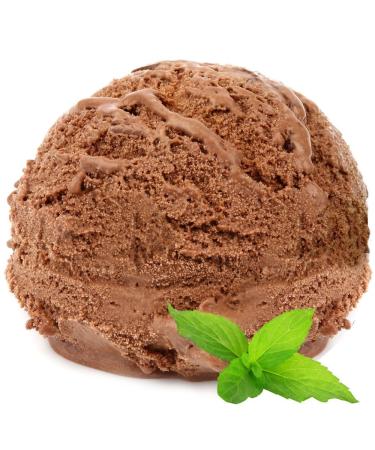 Ice Cream Powder Chocolate Mint Flavour Gino Gelati 1: 3 - 1 kg