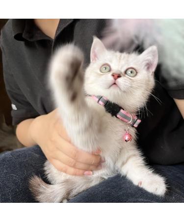 Hepplly 6-Pack Light Pink Cat Collars - Quick Release Reflective Kitten Collars with Bell for Safe Outdoor Play - Buy Online on GoSupps.com