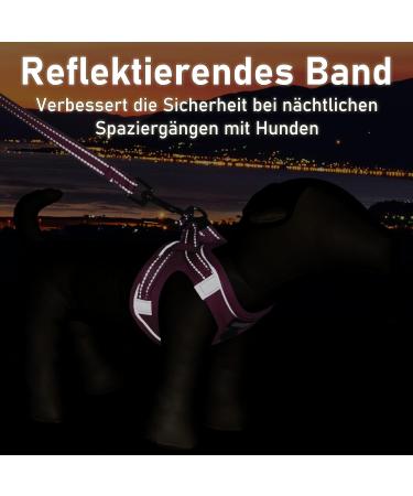 Buy Medium Rose Padded Dog Harness for Small Dogs - Comfortable Puppy Harness for Ultimate Control - Buy Online on GoSupps.com