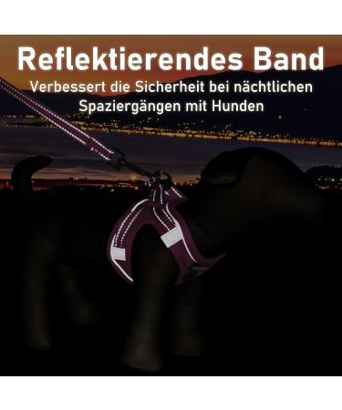 Buy Rose Padded Dog Harness for Small Dogs | Comfortable XS Puppy Harness for Ultimate Safety - Buy Online on GoSupps.com