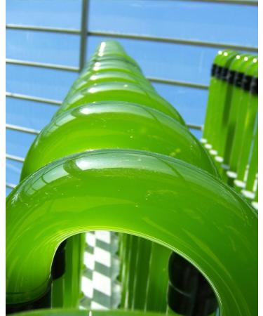 Chlorella Powder from Germany - Pure & Raw Vegan Algae Rich in Vitamin B12 & Iron - 120g | Pureeraw - Buy Online on GoSupps.com