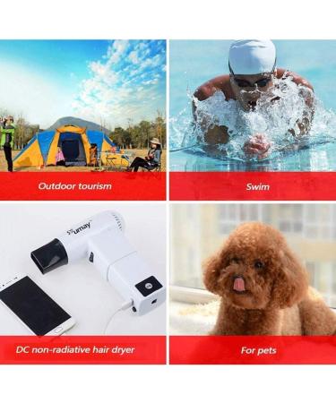 Cordless Hair Dryer Portable Wireless Blow Dryer 450W Blow Hot and Cold Blower Suitable for Hotel Home School pet Care Outdoor Travel - Buy Online on GoSupps.com