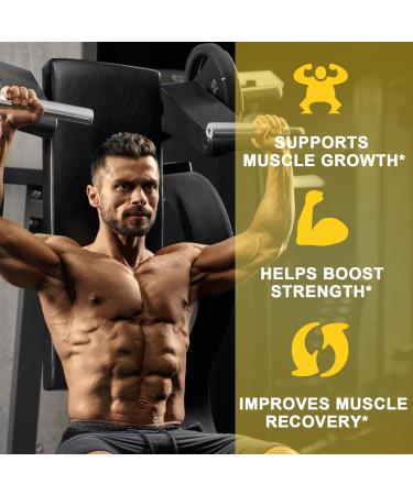 Buy Sugar-Free Creatine Gummies - 5g Chewable Creatine Monohydrate for Muscle Strength & Energy Boost | 30 Servings - Buy Online on GoSupps.com